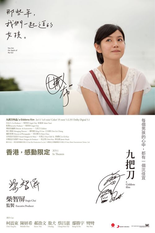 布埃纳维斯塔大学硕士毕业证